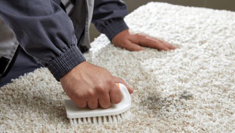 Professional Rug Cleaning Reservoir
